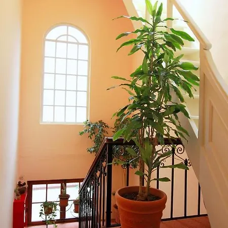 Anastasia Rhodes City