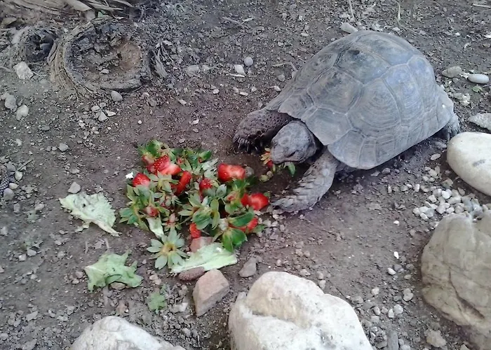 Anastasia Otel Rhodes City