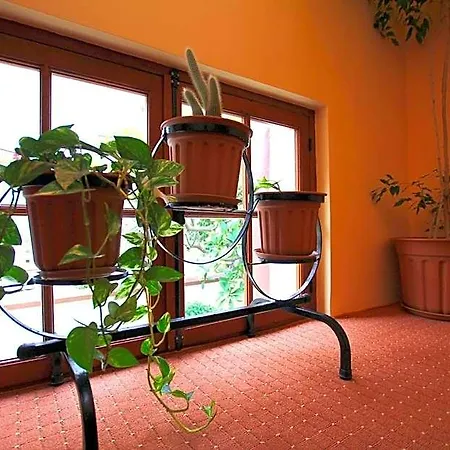 Anastasia Hotel Rhodes City