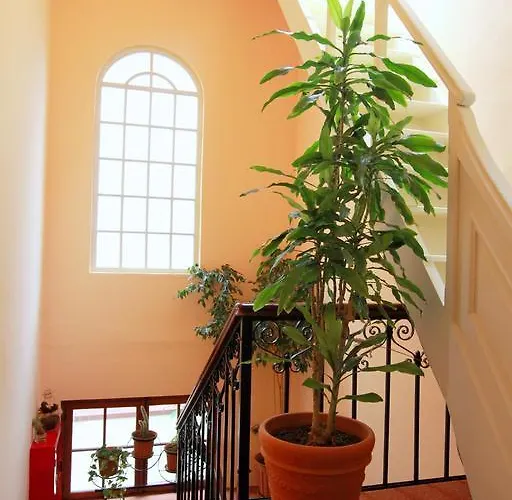 Anastasia Родос